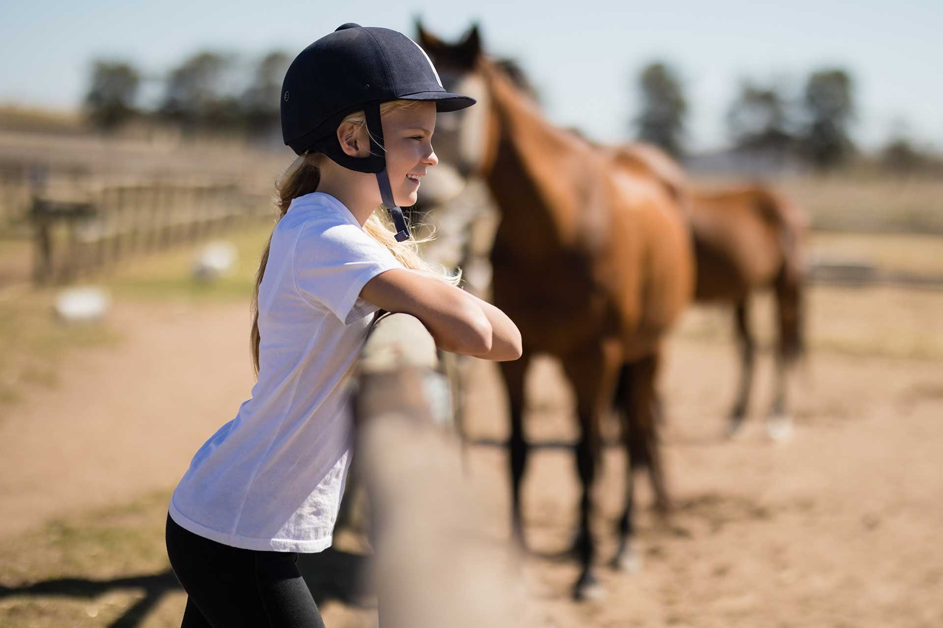 horse riding waiver forms