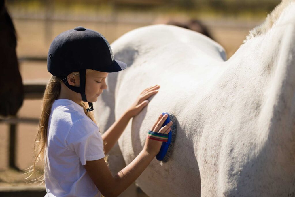 young girl brushing a white horse