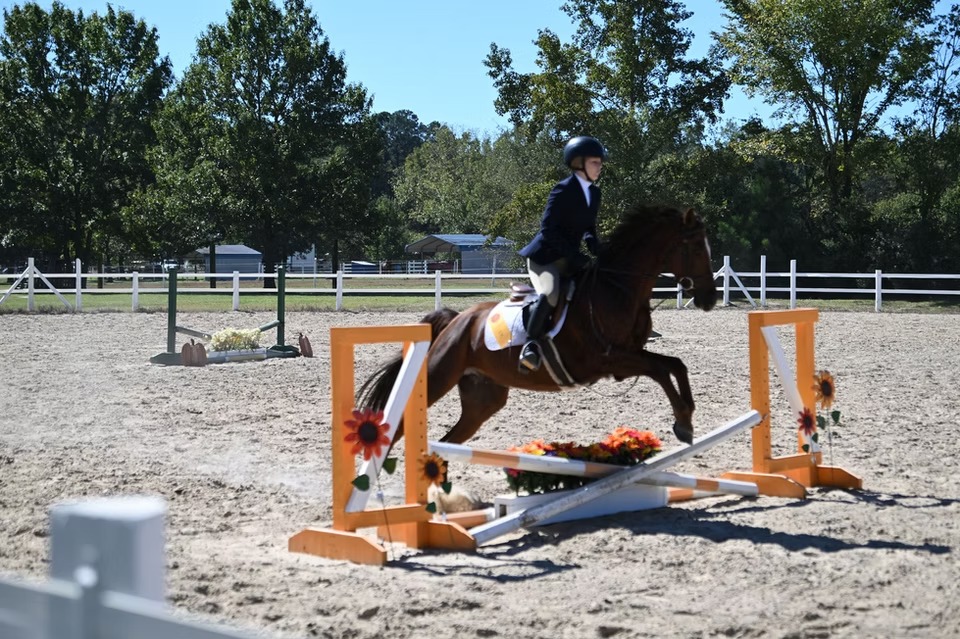 star ridge stables blog