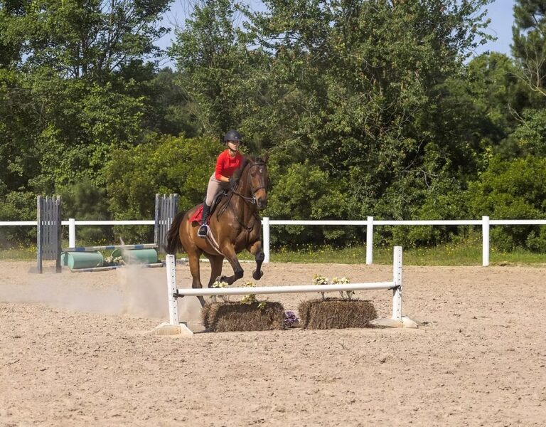 Local Horse Shows in Selma, NC