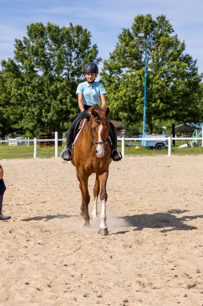 horse back riding lesson