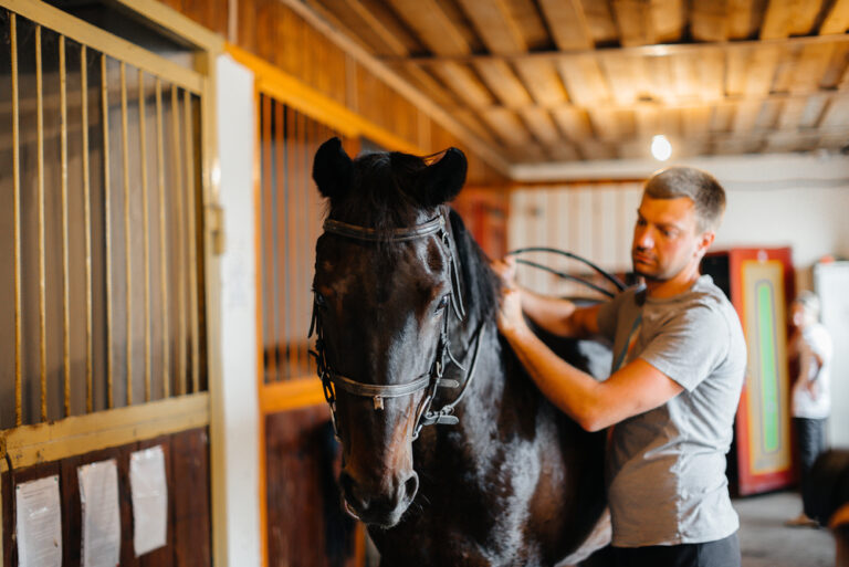 horse leasing & boarding service