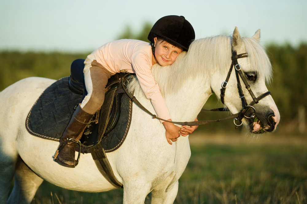a child hugging a horse