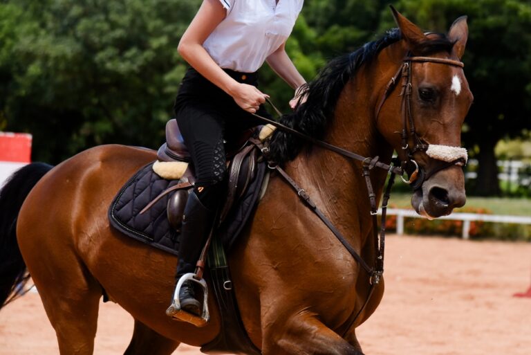 Woman riding a horse