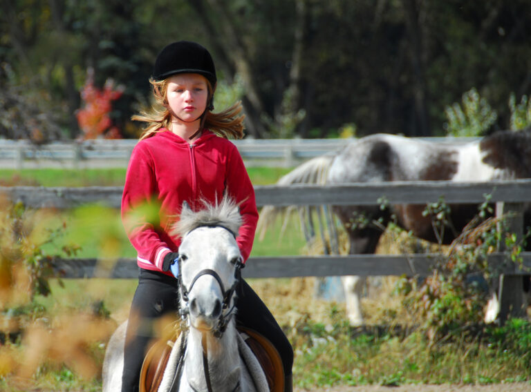 a small girl riding a horse