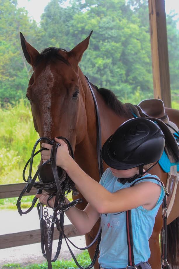 Horseback Riding Lessons - Private Lessons